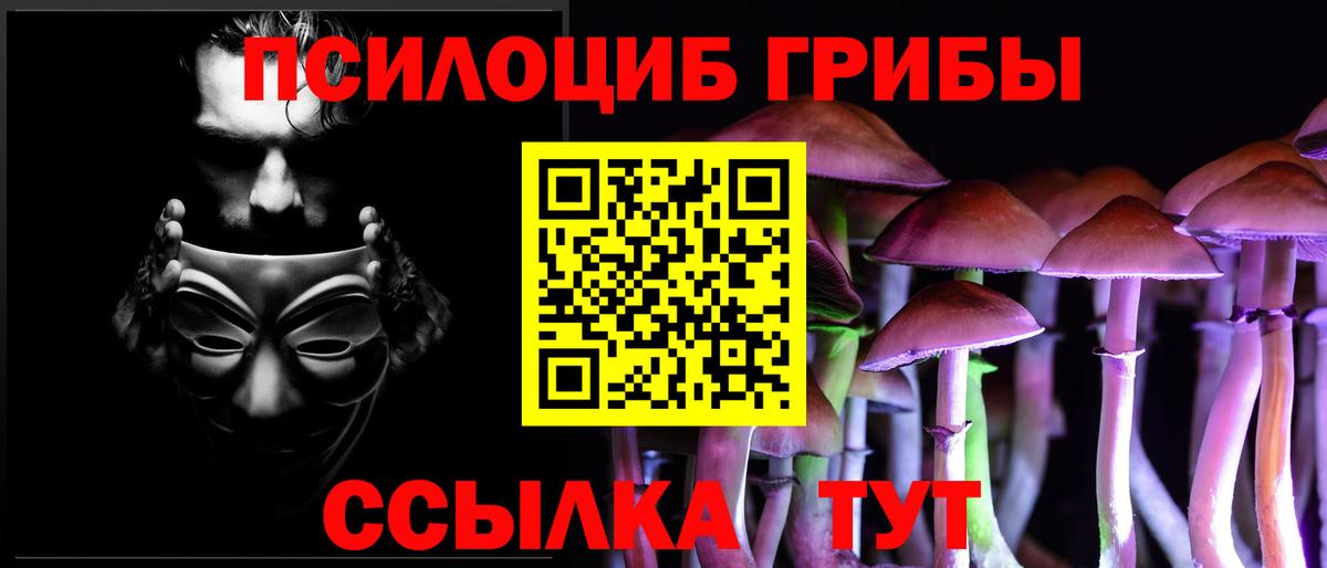 Галлюциногенные грибы ЛСД Новодвинск